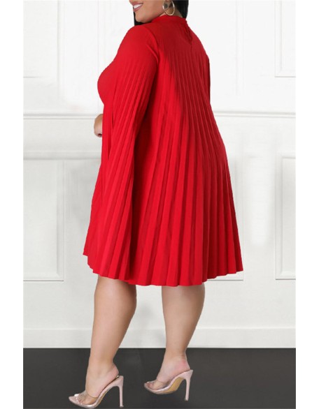 Ruffles Design Contrast Tied Neck Dress